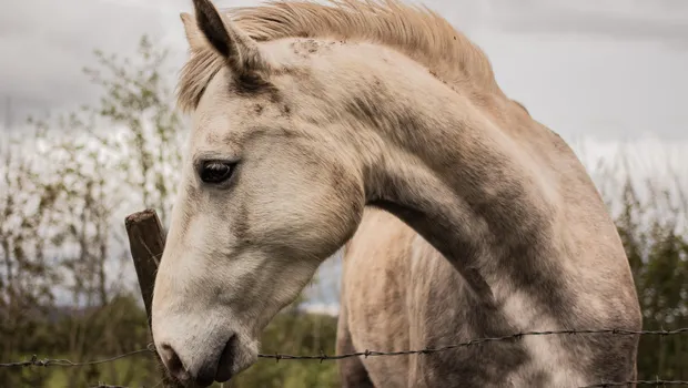 Aion Classic raises level cap, adds new zones in latest update